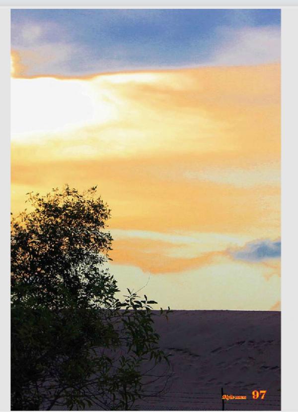 PHOTO-SET--Style-Men-X-15---Vietnamese-Go-Go-Boy-Tomas